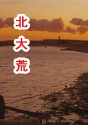 午夜免费免费啪视频观看